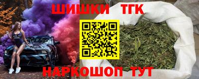 индика Камышлов