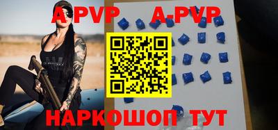 индика Камышлов