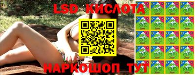 индика Камышлов