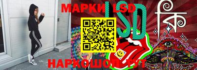индика Камышлов