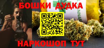 индика Камышлов