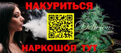 индика Камышлов