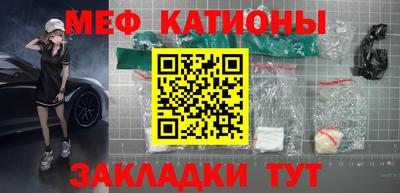 индика Камышлов
