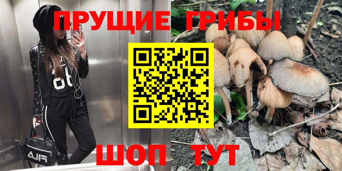 магазин    Вход с VPN  Красный Сулин  Галлюциногенные грибы Psilocybe 